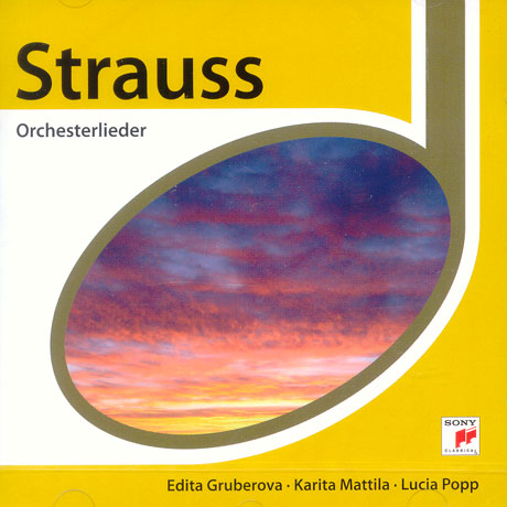 ORCHESTERLIEDER