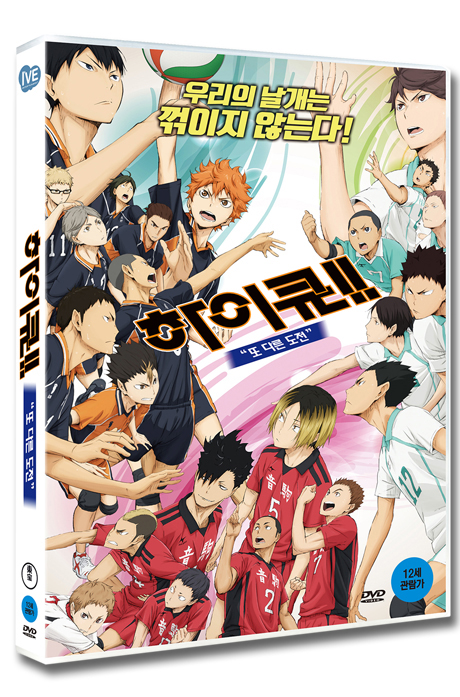 하이큐!! 또 다른 도전 [ハイキュ OVA 1-3]