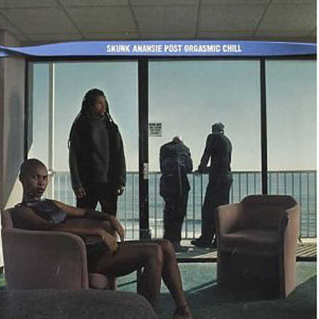 POST ORGASMIC CHILL [LP]