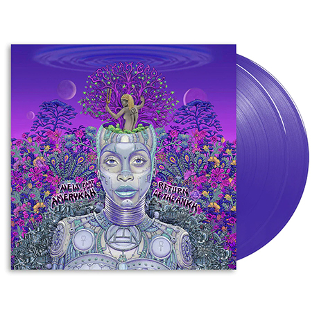 NEW AMERYKAH PART TWO [RETURN OF THE ANK] [PURPLE LP]