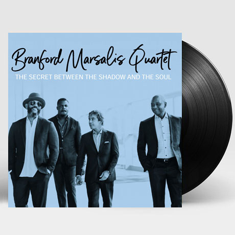 THE SECRET BETWEEN THE SHADOW AND THE SOUL [180G LP]