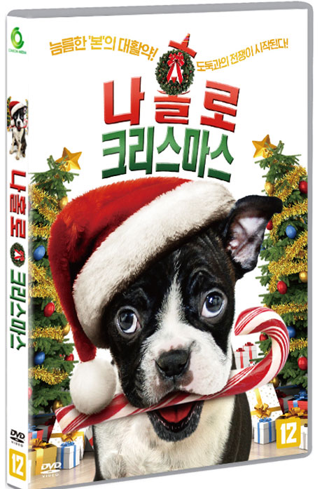 나홀로 크리스마스 [ALONE FOR CHRISTMAS]