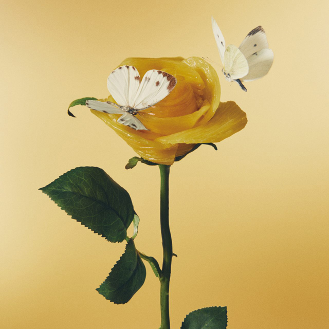 HEARD THAT THERE`S GOOD PASTA [おいしいパスタがあると聞いて] [한정반]