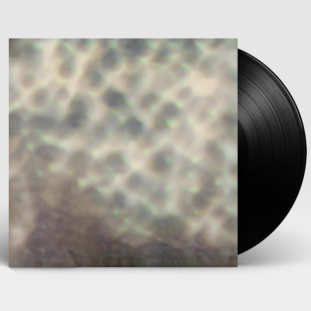 OURSELVES, AS WE ARE [우리 자신 있는 그대로 - 카를로스 치파] [LP]