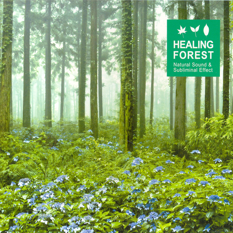 힐링 포레스트 [HEALING FOREST]