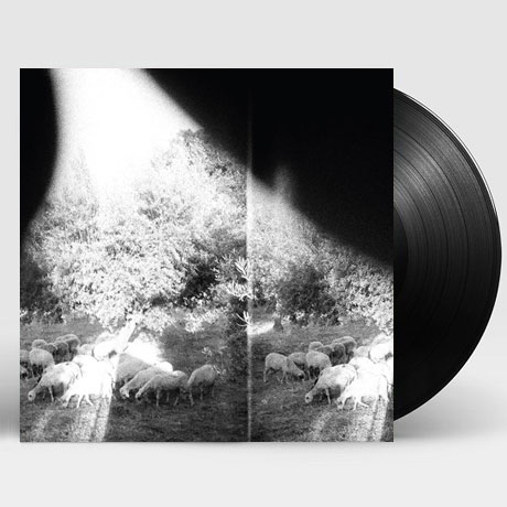 ASUNDER, SWEET AND OTHER [180G LP]