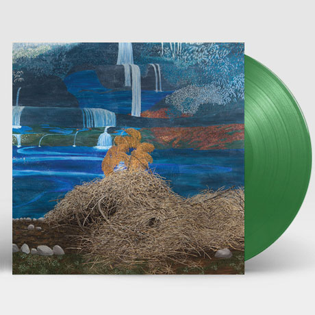 AT THE DAM [GREEN LP] [한정반]