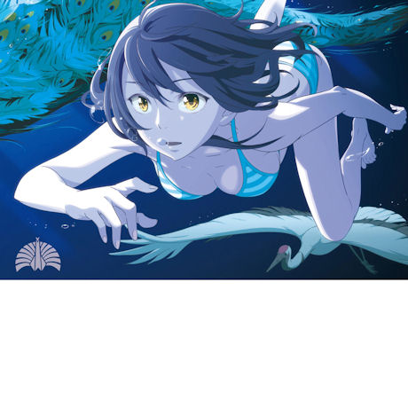 심야방송 [深夜樺] [일본 초회한정 수입반]