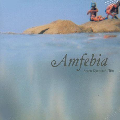 AMFEBIA