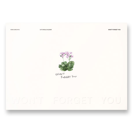 WON`T FORGET YOU [싱글]