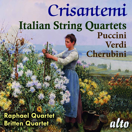 CRISANTEMI: ITALIAN STRING QUARTETS/ BRITTEN QUARTET, RAPHAEL QUARTET [베르디, 푸치니, 케루비니: 현악사중주 연주집 - 라파엘, 브리튼 사중주단]