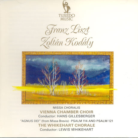 MISSA CHORALIS, AGNUSDEI