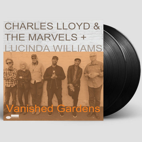 VANISHED GARDENS [VINYL]