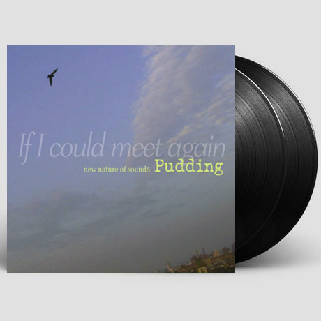 IF I COULD MEET AGAIN [180G LP]