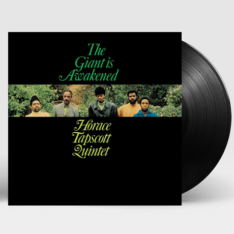 THE GIANT IS AWAKENED [LP]