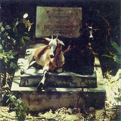 SPIRITS & WORM [180G LP]