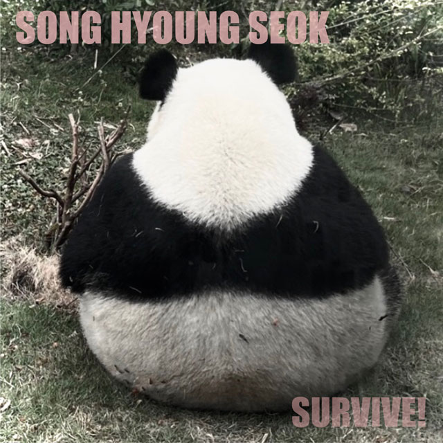SURVIVE [정규 1집]