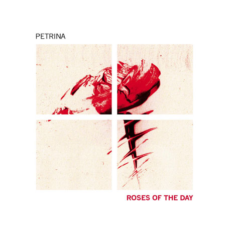 ROSES OF THE DAY