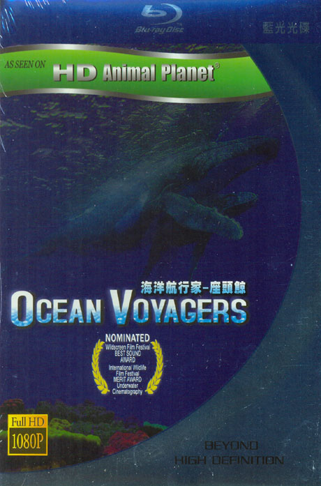 오션 보이져 [OCEAN VOYAGERS] [블루레이 전용플레이어 사용]