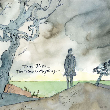 THE COLOUR IN ANYTHING