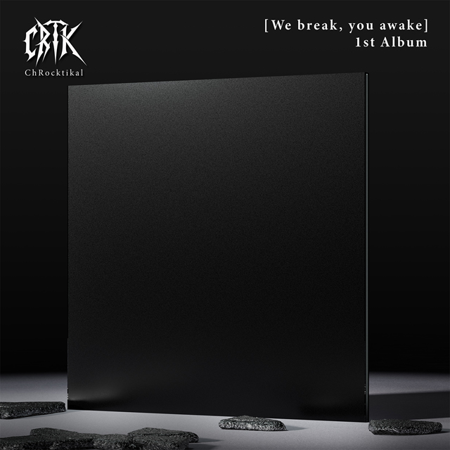 WE BREAK, YOU AWAKE [정규 1집] [LP]