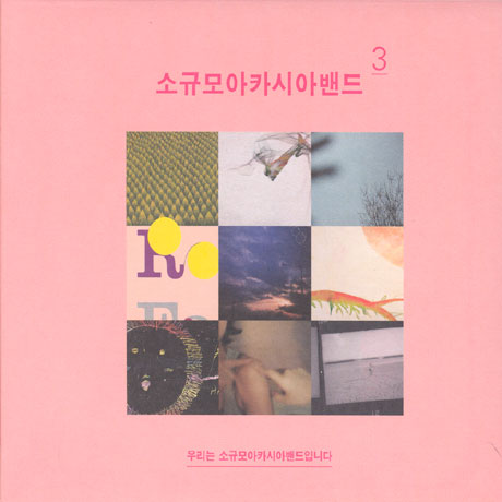 우리는 소규모 아카시아 밴드입니다