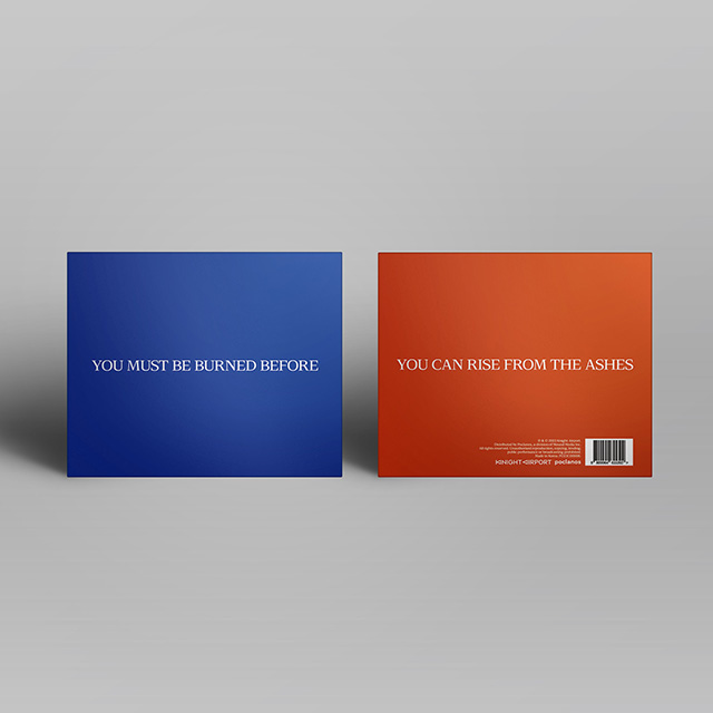 YOU MUST BE BURNED BEFORE YOU CAN RISE FROM THE ASHES