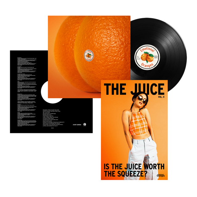 THE JUICE: VOL. 2 [LP]