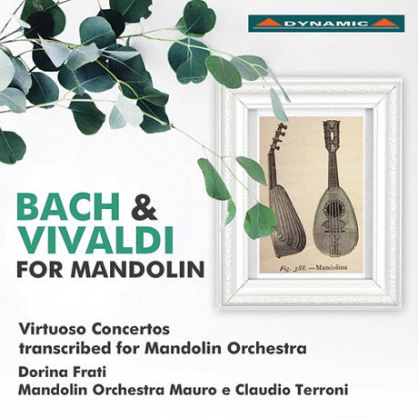 FOR MANDOLIN/ DORINA FRATI [바흐 & 비발디: 만돌린 편곡 작품집]