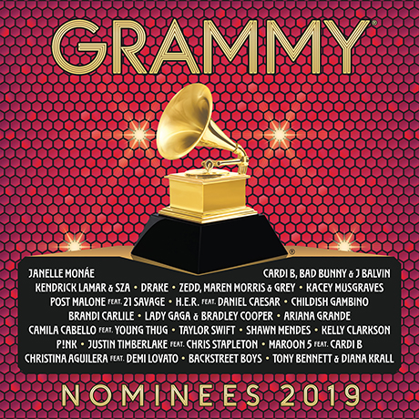 2019 GRAMMY NOMINEES [2019 그래미 노미니스]