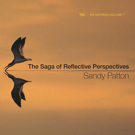 THE SAGA OF REFLECTIVE PERSPECTIVES