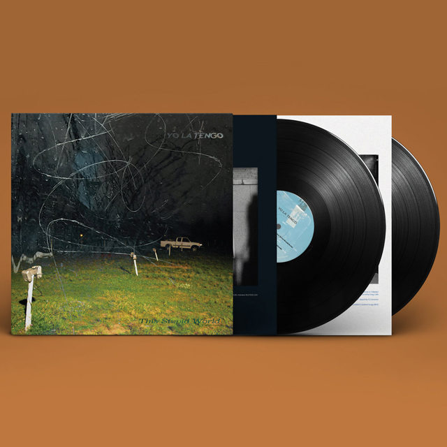 THIS STUPID WORLD [LP]