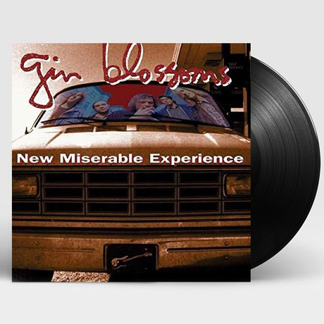 NEW MISERABLE EXPERIENCE [LP]