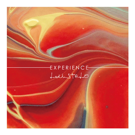 EXPERIENCE