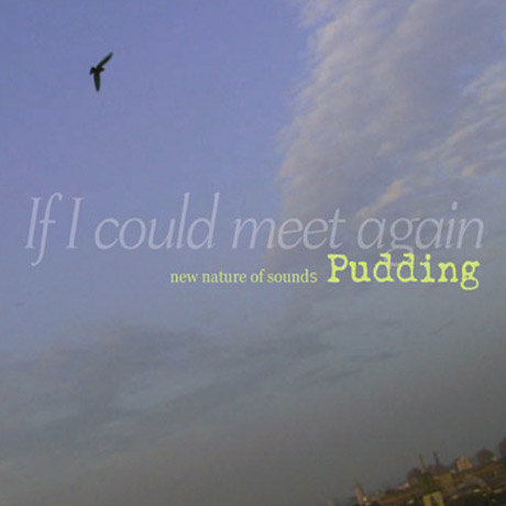 IF I COULD MEET AGAIN