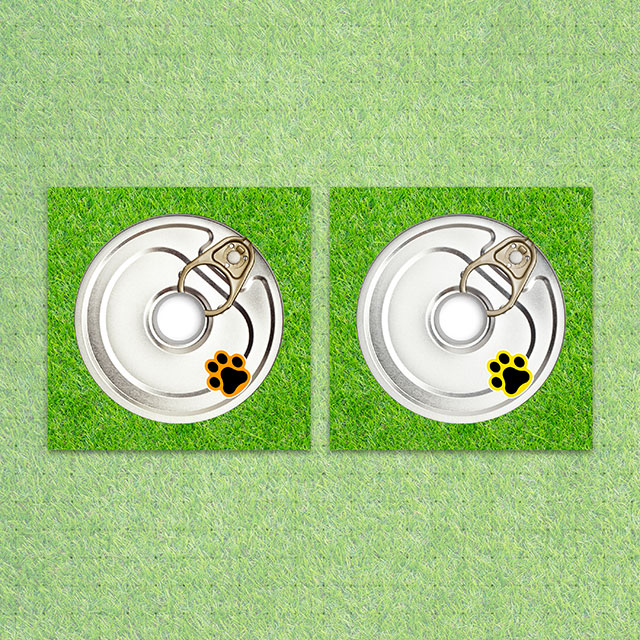 BEING TENDER [미니 3집] [COMPACT VER]