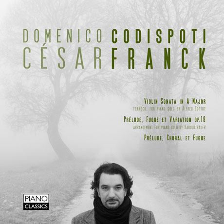 VIOLIN SONATAS/ DOMENICO CODISPOTI