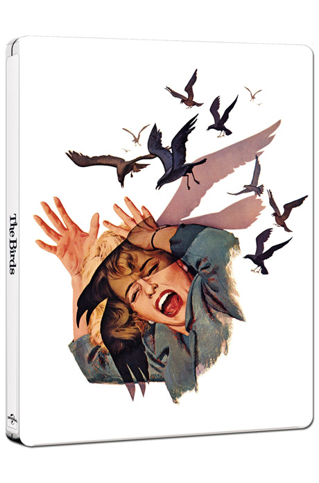 새 4K UHD+BD [스틸북 한정판] [THE BIRDS]