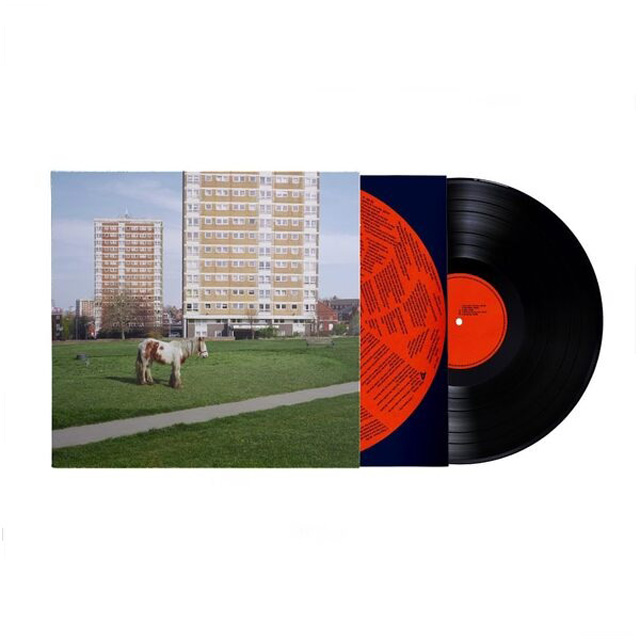 IT GOES ON [LP]