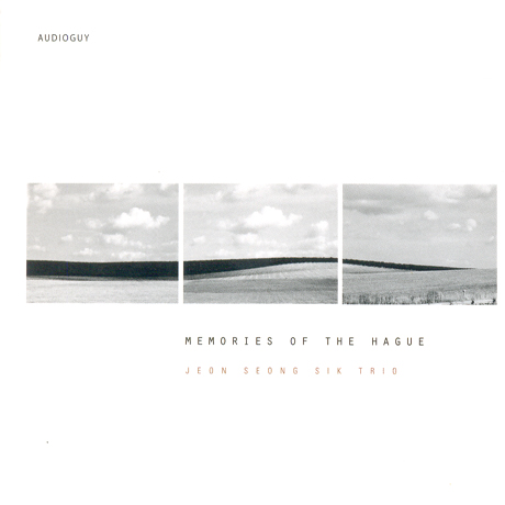 MEMORIES OF THE HAGUE