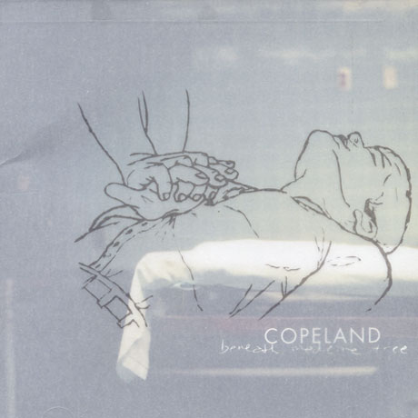 BENEATH MEDICINE TREE