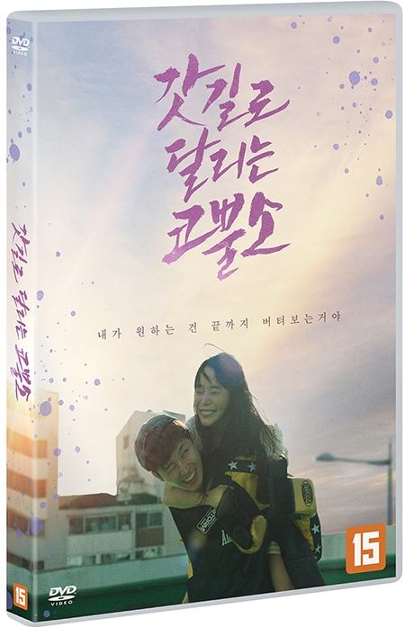 갓길로 달리는 코뿔소
