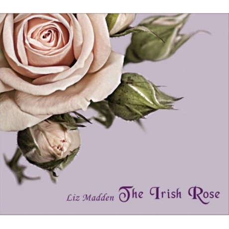 THE IRISH ROSE