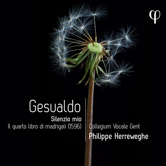 SILENZIO MIO. IL QUARTO LIBRO DI MADRIGALI [제수알도: 마드리갈 4권 침묵 속에서 - 콜레기움 보칼레 헨트]