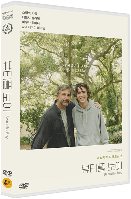 뷰티풀 보이 [BEAUTIFUL BOY]
