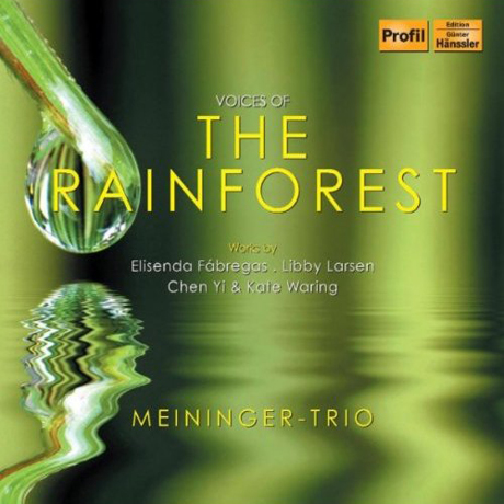 THE RAINFOREST/ MEININGER TRIO