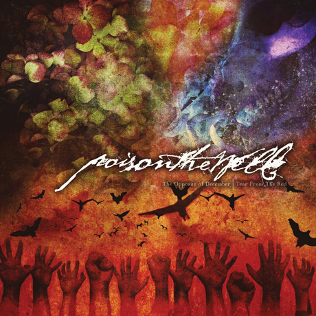 THE OPPOSITE OF DECEMBER+TEAR FROM THE RED