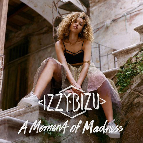 A MOMENT OF MADNESS [DELUXE EDITION] [3단 디지팩]