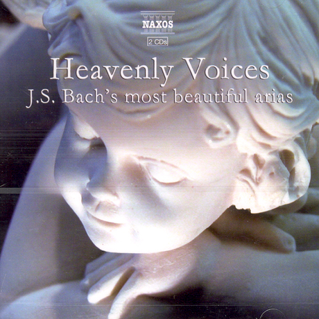 HEAVENLY VOICES
