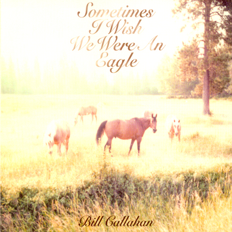 SOMETIMES I WISH WE WERE AN EAGLE